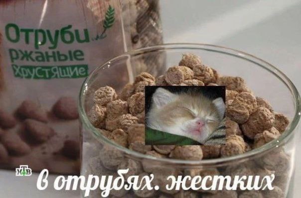 6 отрудях. жестких