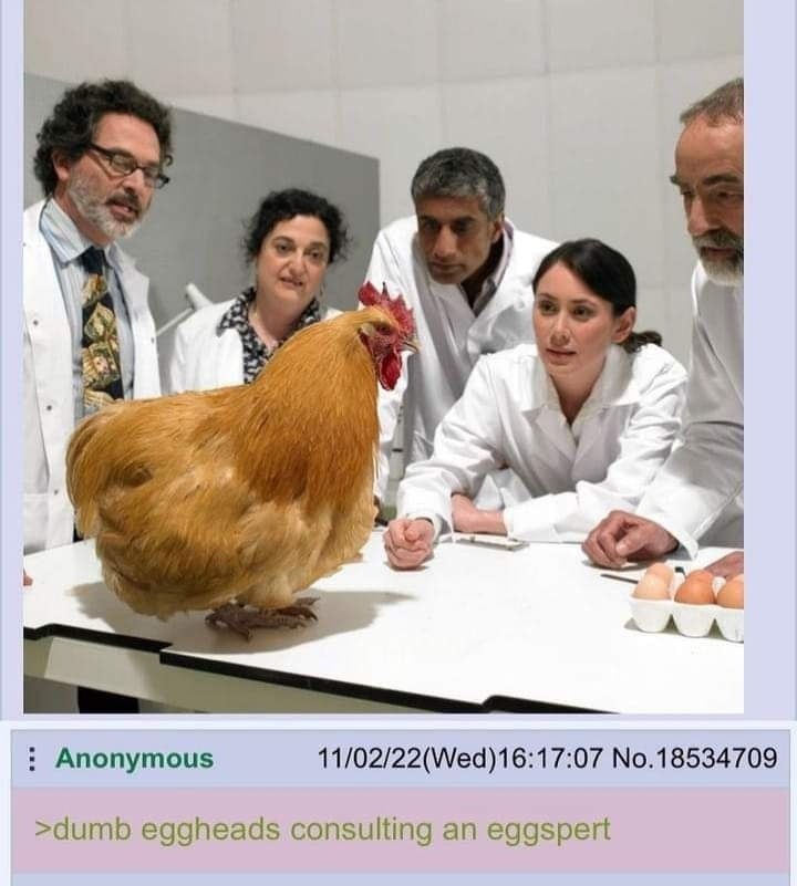 Anonymous 11/02/22(Wed)16:17:07 No.18534709 >dumb eggheads consulting an eggspert