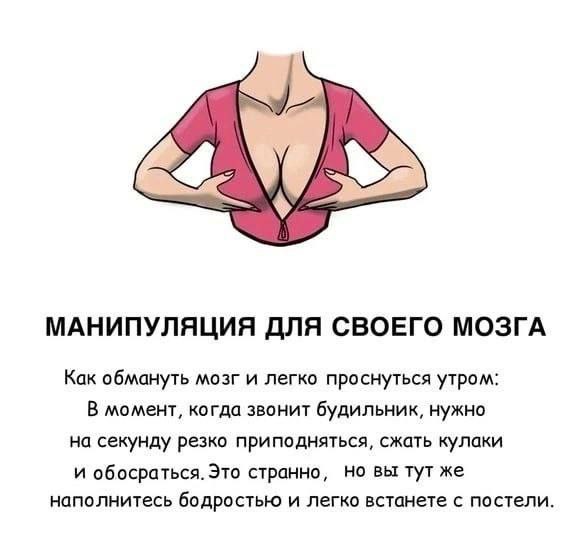МАНИПУЛЯЦИЯ ДЛЯ СВОЕГО МОЗГА Как обмануть мозг и легко проснуться утром: В момент, когда звонит будильник, нужно на секунду резко приподняться, сжать кулаки и обосраться. Это странно, но вы тут же нап