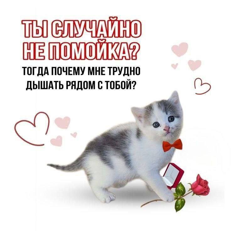 ТОГДА ПОЧЕМУ МНЕ ТРУДНО ДЫШАТЬ РЯДОМ С ТОБОЙ?