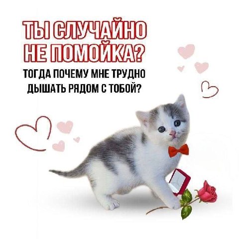 ТОГДА ПОЧЕМУ МНЕ ТРУДНО ДЫШАТЬ РЯДОМ С ТОБОЙ?