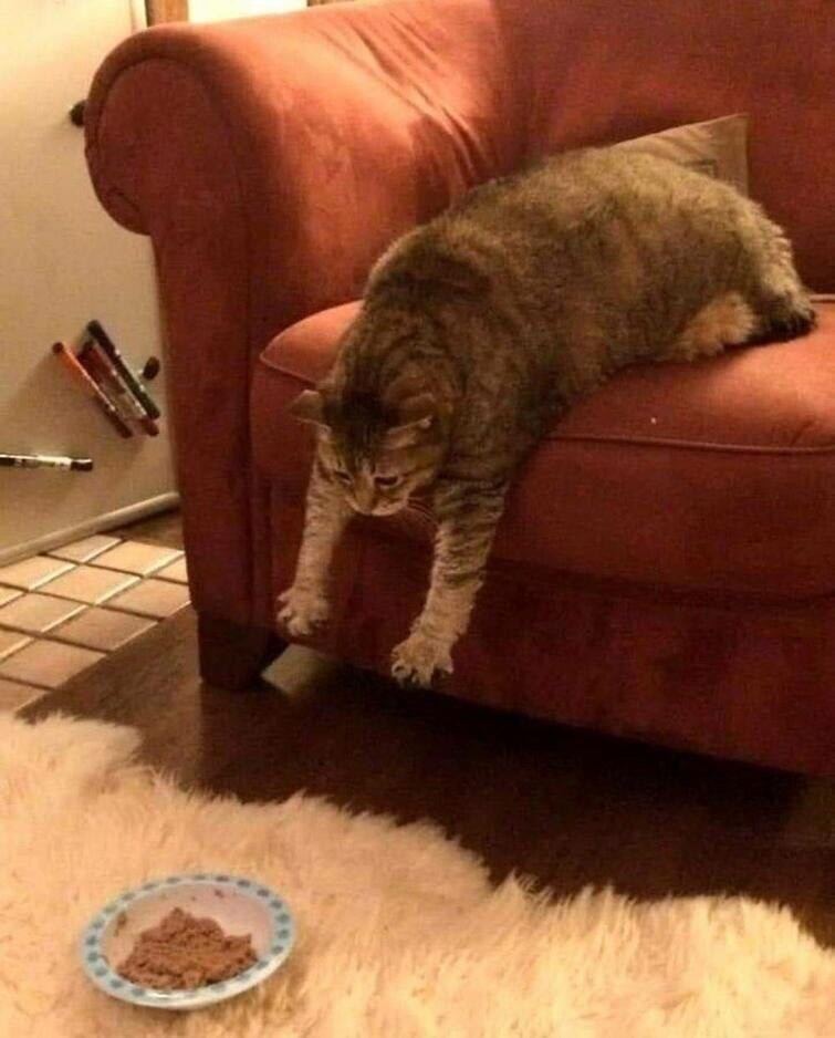 4 4 4 4