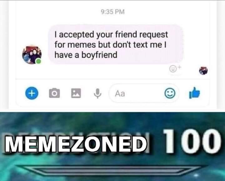 accepted your friend request for memes but don't text me have a boyfriend 9 1 MENIEZONED 100