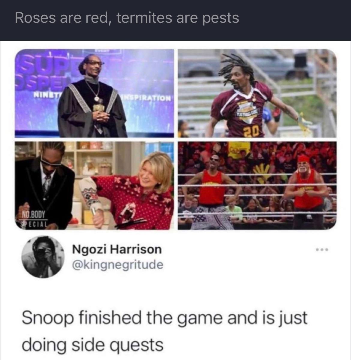 4 в Ngozi Harrison @kingnegritude Snoop finished the game and is just doing side quests