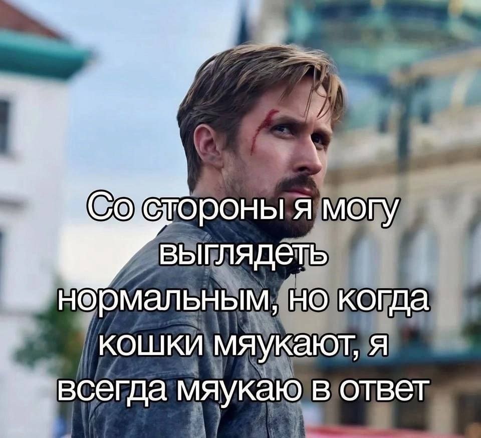 я могу выглядеть нормальным, но когда кошки мяукают, я всегда мяукаю в ответ