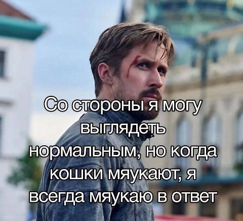 я могу выглядеть нормальным, но когда кошки мяукают, я всегда мяукаю в ответ