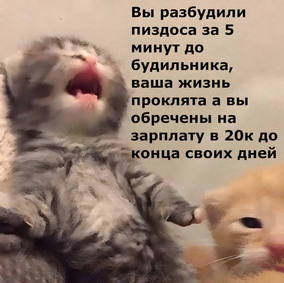 Вы разбудили пиздоса за 5 минут до будильника, ваша жизнь проклятаа вы обречены на зарплату в 20к до онца своих дней