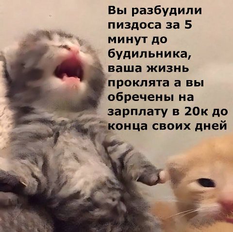 Вы разбудили пиздоса за 5 минут до будильника, ваша жизнь проклятаа вы обречены на зарплату в 20к до онца своих дней