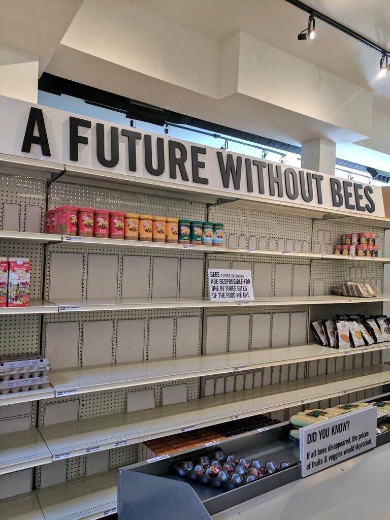 A TURE Vas TBE SESE we 5: BEES 9] ARE RESPONSIBLE IN THREE BITES OF THE FOOD 1%] a 4 ial of