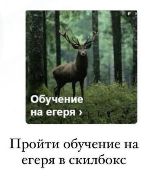 Обучение на егеря Пройти обучение на егеря в скилбокс
