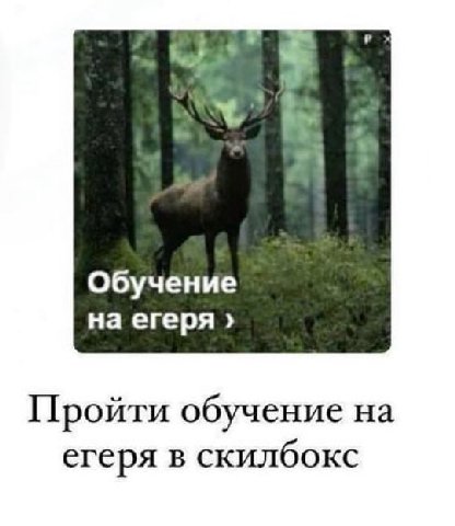 Обучение на егеря Пройти обучение на егеря в скилбокс