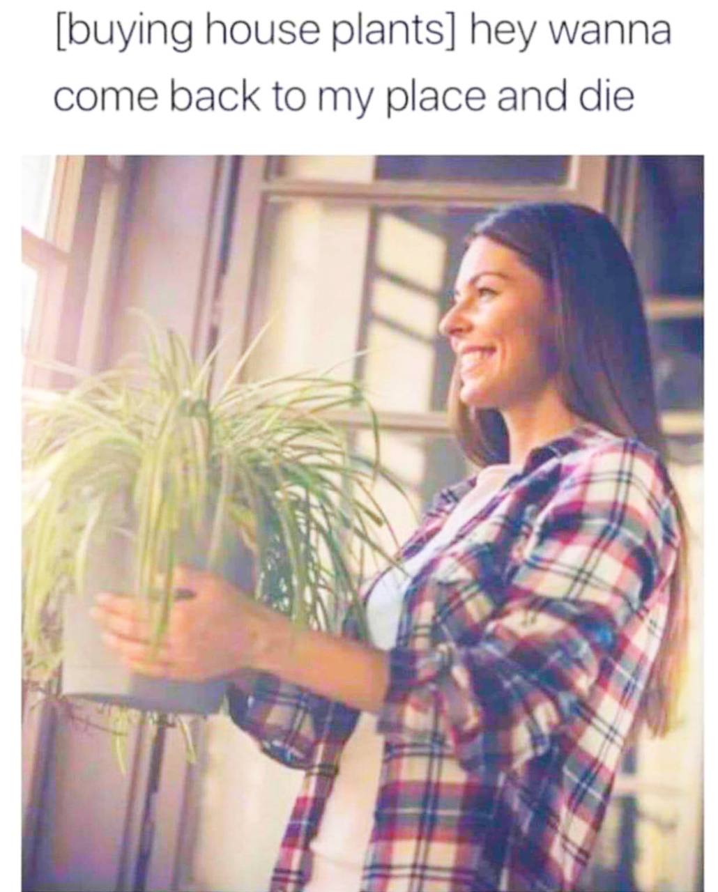 [buying house plants] hey wanna come back to my place and die в at