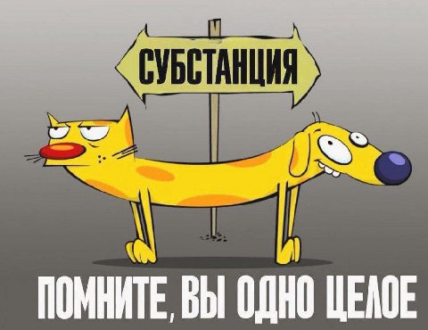 СУБСТАНЦИЯ ПОМНИТЕ ВЫ ОДНО ЦЕЛОЕ