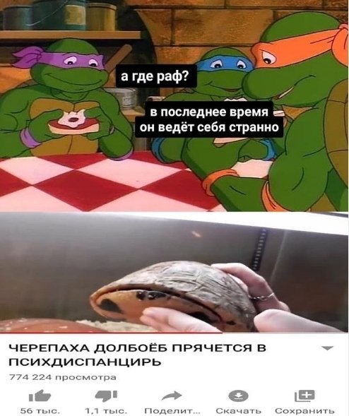 а где pad? в последнее время он ведёт себя странно ЧЕРЕПАХА ДОЛБОЁБ ПРЯЧЕТСЯ В ПСИХДИСПАНЦИРЬ 774 224 просмотра 56 тыс. 1.1 тыс. Поделит... Скачать Сохранить