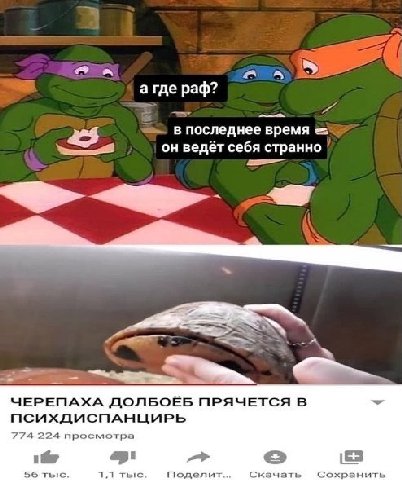 а где pad? в последнее время он ведёт себя странно ЧЕРЕПАХА ДОЛБОЁБ ПРЯЧЕТСЯ В ПСИХДИСПАНЦИРЬ 774 224 просмотра 56 тыс. 1.1 тыс. Поделит... Скачать Сохранить