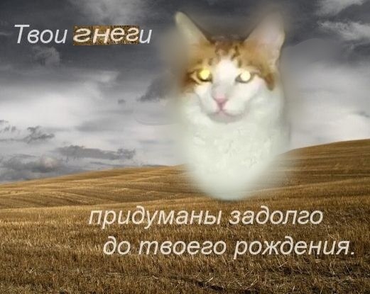 Твои 2неги придуманы задолго до твоего рождения.