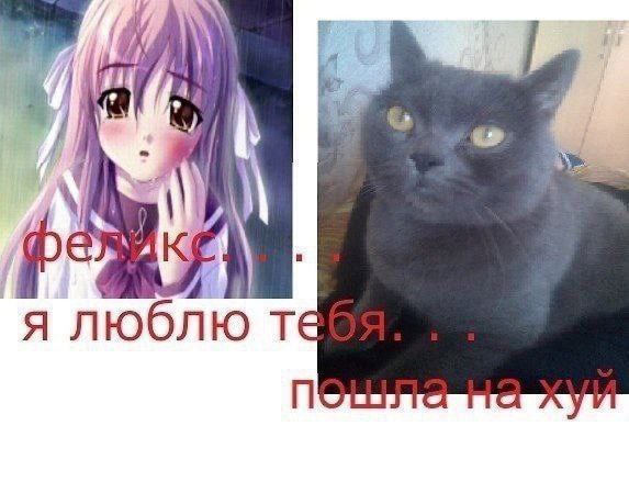 я люб