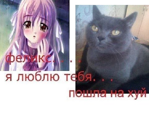 я люб
