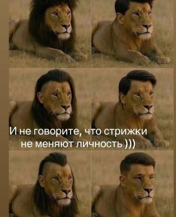 И не говорите, что стрижки не меняют личность