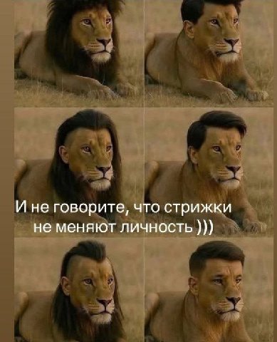 И не говорите, что стрижки не меняют личность