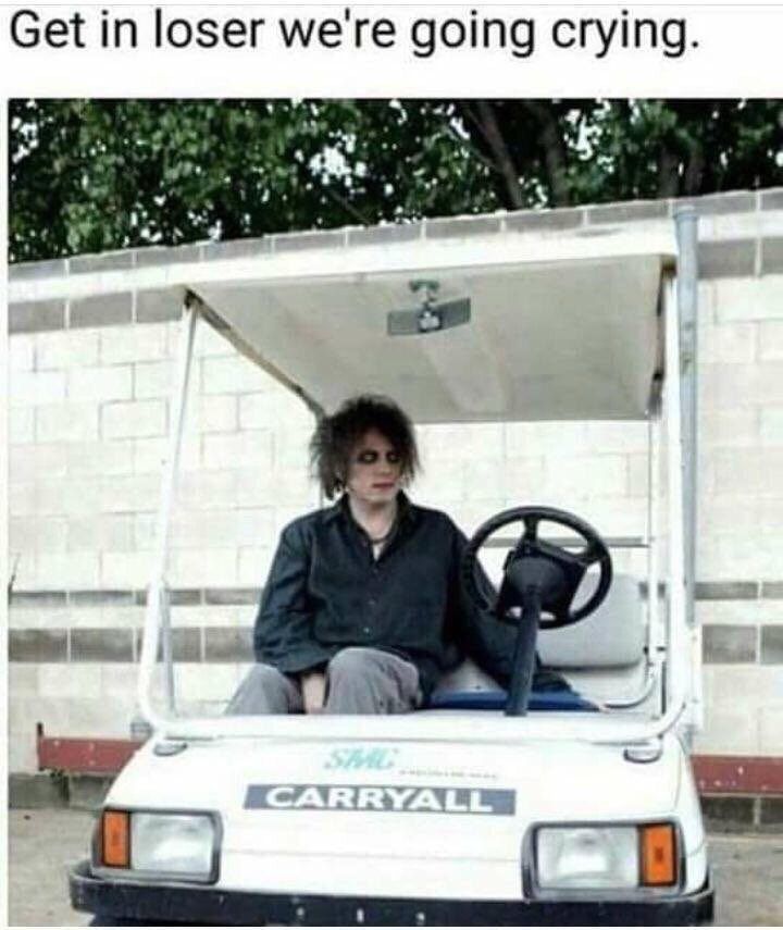 Get in loser we're going crying. 5* В