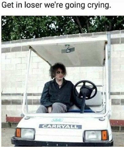 Get in loser we're going crying. 5* В
