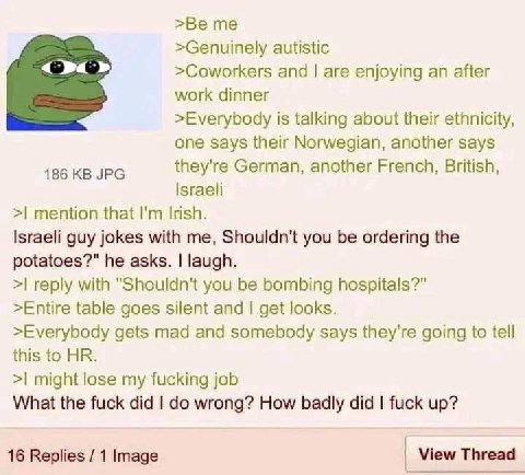 >Genuinely autistic >Coworkers and are enjoying an after work dinner >Everybody is talking about their ethnicity, one says their Norwegian, another says 186 JPG they're German, another French, British