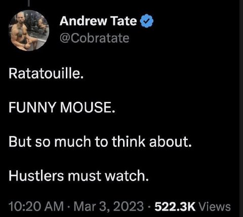 Andrew Tate @Cobratate Ratatouille. FUNNY MOUSE. But so much to think about. Hustlers must watch. 10:20 Mar 3, 2023 Views