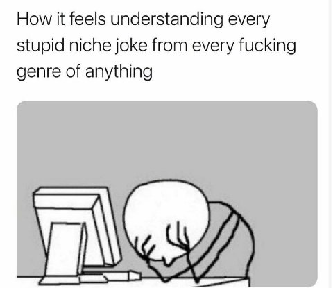 How it feels understanding every stupid niche joke from every fucking genre of anything