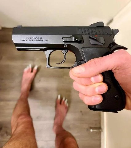 941 ISRAEL WEAPON INDUSTRIES [У LTO