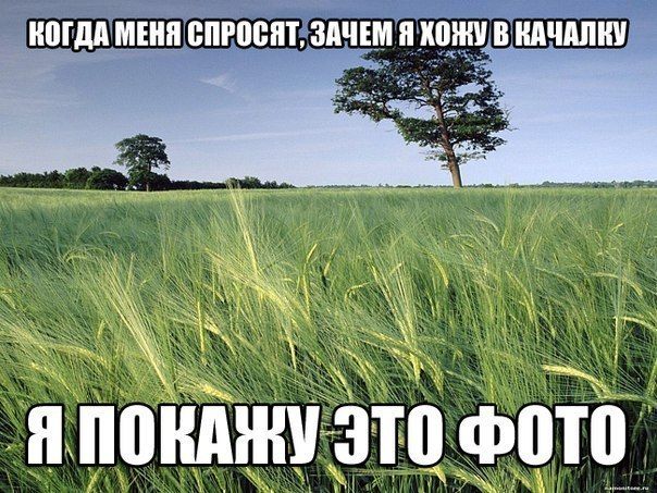 КОГДА МЕНЯ СПРОСЯТ, ЗАЧЕМ Я ХОЖУ В КАЧАЛКУ я ПОКАЖУ это ФОТО