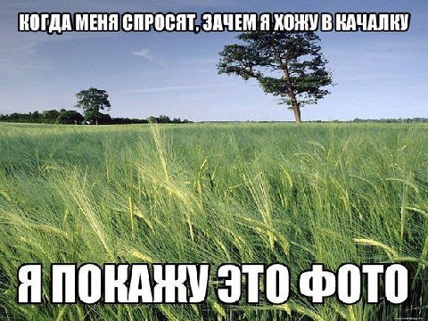 КОГДА МЕНЯ СПРОСЯТ, ЗАЧЕМ Я ХОЖУ В КАЧАЛКУ я ПОКАЖУ это ФОТО