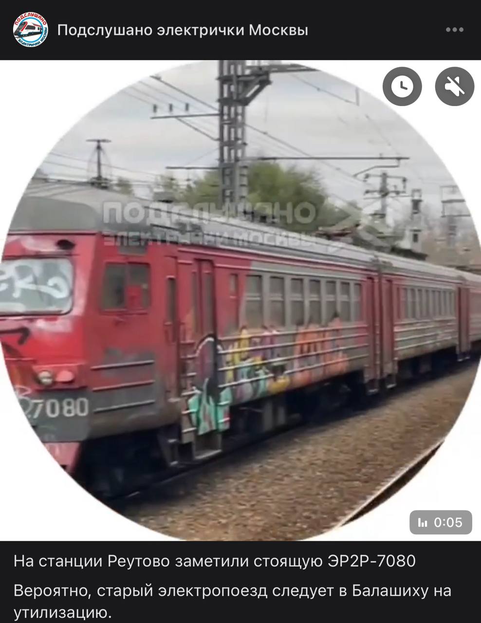 рассказы из жизни собак