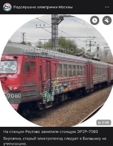 рассказы из жизни собак