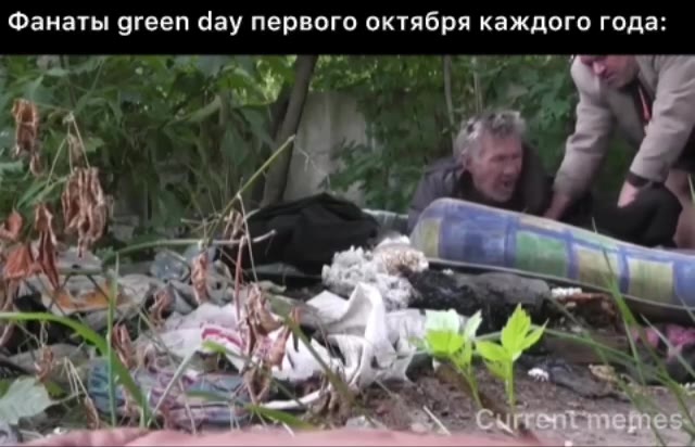 Фанаты green day первого октября каждого года: