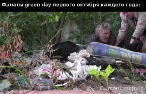 Фанаты green day первого октября каждого года: