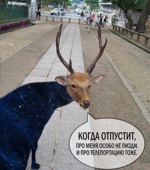 я КОГДА ОТПУСТИТ, 18; 2. ПРО МЕНЯ OCOBO НЕ ПИЗДИ ИПРО ТЕЛЕПОРТАЦИЮ ТОЖЕ.