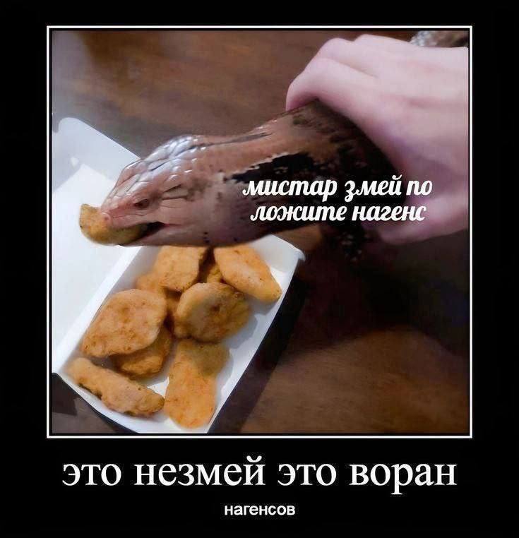 ‚мистар з.мей по это незмей это воран нагенсов