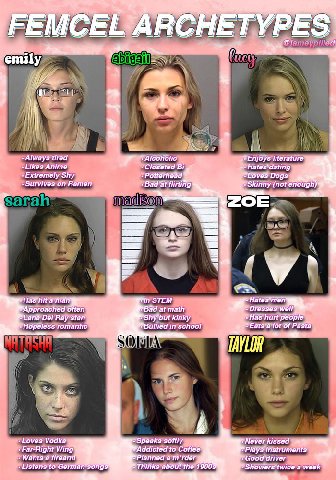 “ARC HETYPES emily Always tired Alcoholic «Enjoys literature Likes Anime Closéted Potterhead Extremely Shy Dogs Survives on Ramen Bad а flirting’ Skinny (not enough) а man in STEM Hates*rien ‘Bad at m