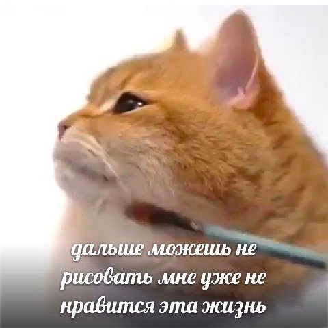 дальше можешь не мне уже не нравится эта жизнь