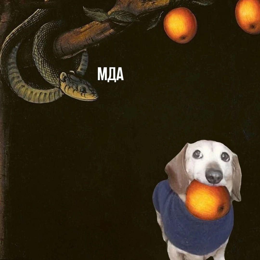 МДА