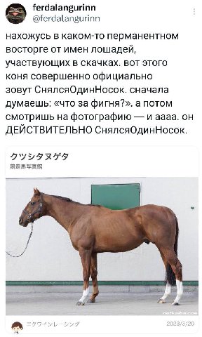ferdalangurinn @ferdalangurinn нахожусь в каком-то перманентном восторге от имен лошадей, участвующих в скачках. вот этого коня совершенно официально зовут СнялсяОдинНосок. сначала думаешь: «что за фи