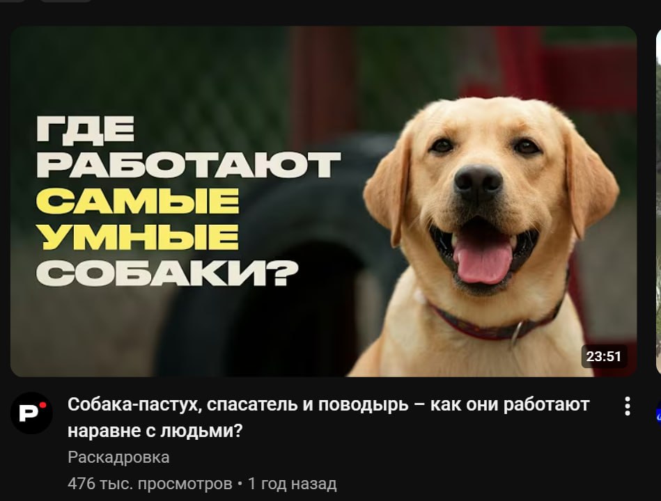 в этом паблике админами