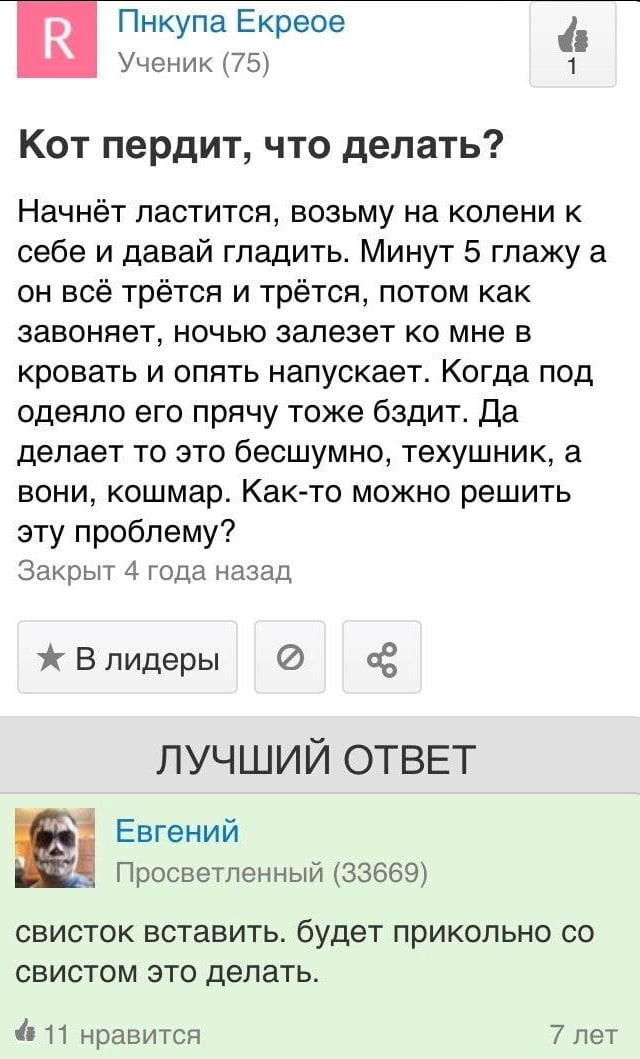 Пнкупа Екреое Ученик (75) Кот пердит, что делать? Начнёт ластится, возьму на колени к себе и давай гладить. Минут 5 глажу а он всё трётся и трётся, потом как завоняет, ночью залезет мне в кровать и оп