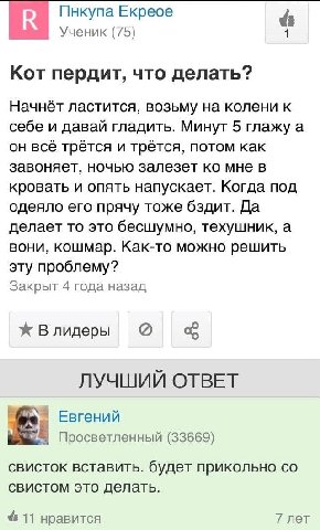 Пнкупа Екреое Ученик (75) Кот пердит, что делать? Начнёт ластится, возьму на колени к себе и давай гладить. Минут 5 глажу а он всё трётся и трётся, потом как завоняет, ночью залезет мне в кровать и оп