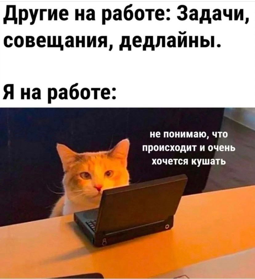 Другие на работе: Задачи, совещания, дедлайны. Я на работе: не понимаю, что происходит и очень 2 хочется кушать