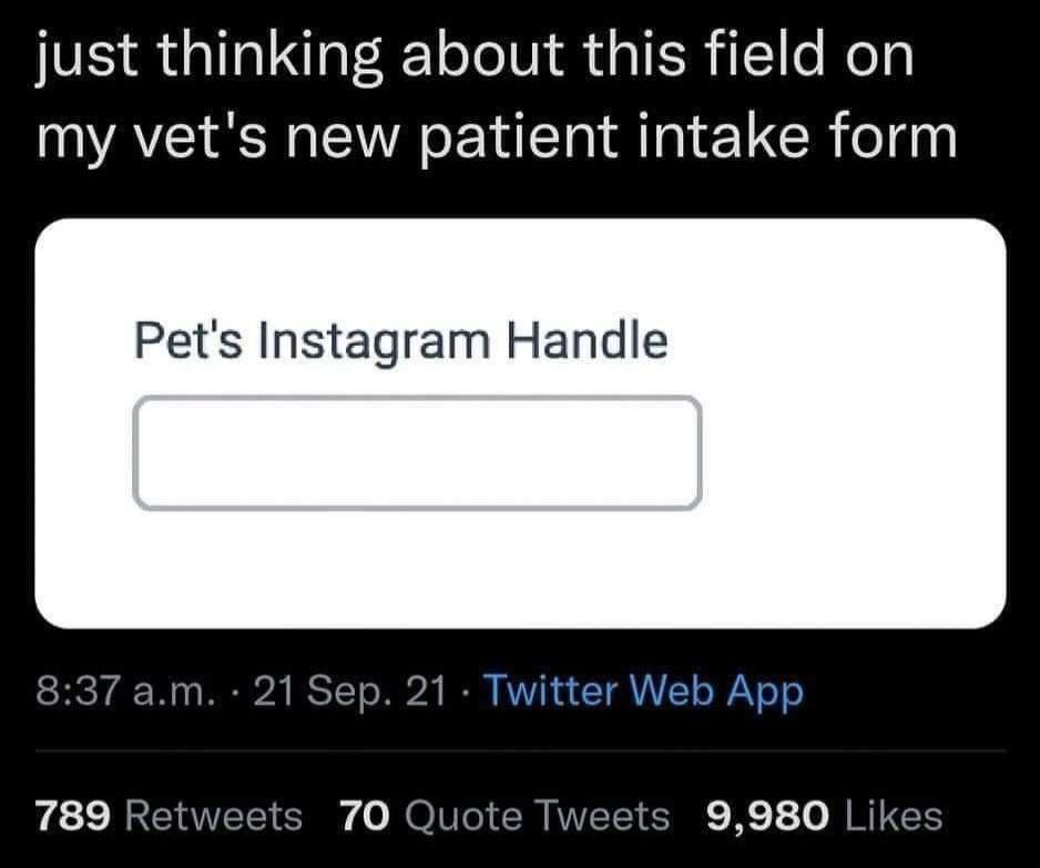 just thinking about this field on my vet's new patient intake form Pet's Instagram Handle 8:37 21- Twitter Web App 789 Retweets 70 Quote Tweets 9,980 Likes