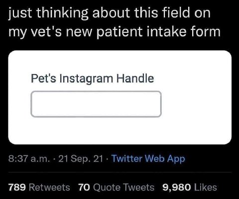 just thinking about this field on my vet's new patient intake form Pet's Instagram Handle 8:37 21- Twitter Web App 789 Retweets 70 Quote Tweets 9,980 Likes
