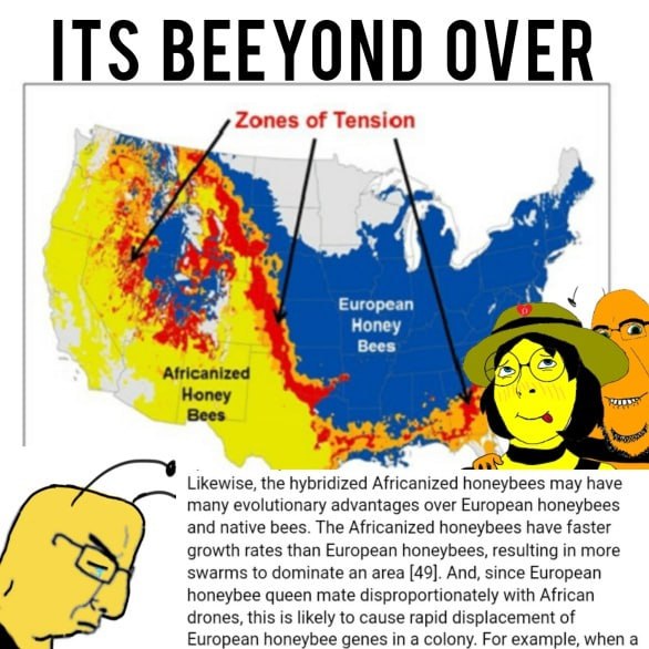 Zones of Tension у a European Нопеу у Bees Africanized Honey Bees 2: Likewise, the hybridized Africanized honeybees may have many evolutionary advantages over European honeybees and native bees. The A