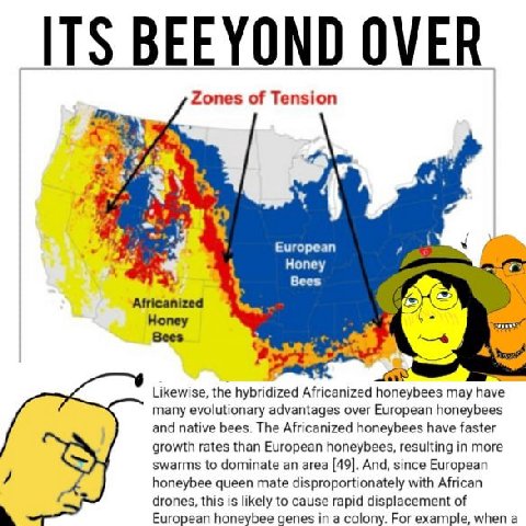 Zones of Tension у a European Нопеу у Bees Africanized Honey Bees 2: Likewise, the hybridized Africanized honeybees may have many evolutionary advantages over European honeybees and native bees. The A